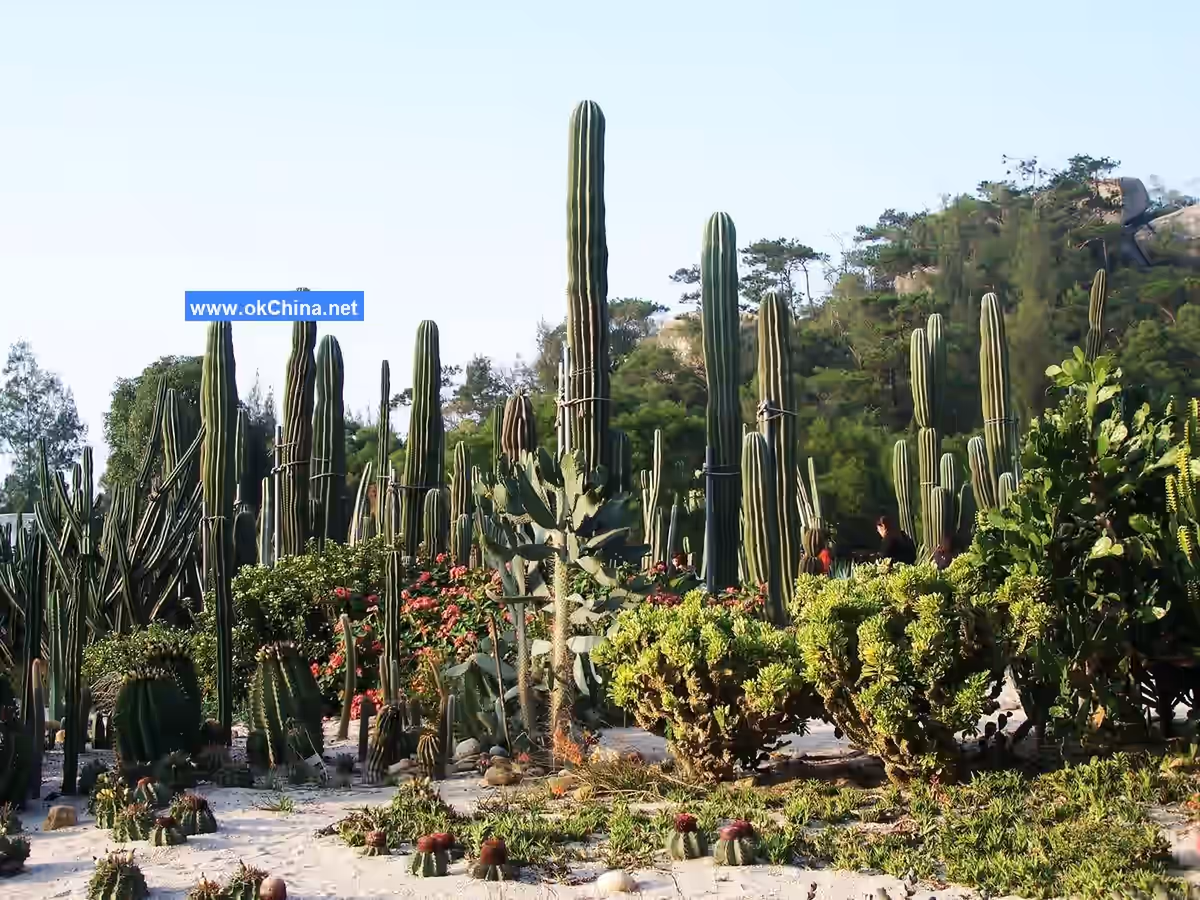 Xiamen Botanical Garden Scenic Area
