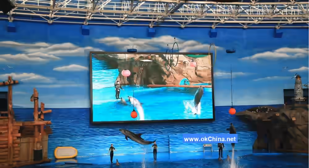 Tiger Beach Ocean Park And Tiger Beach Polar Aquarium