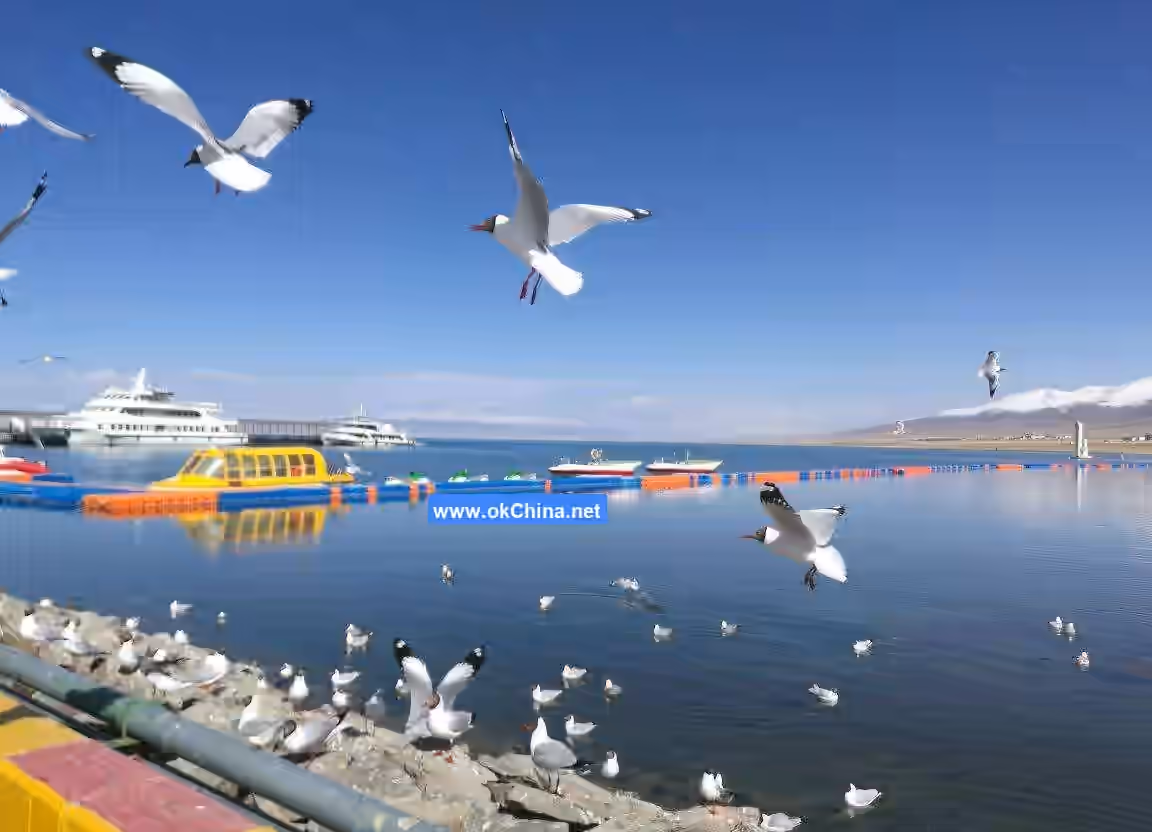 Qinghai Lake Scenic Area