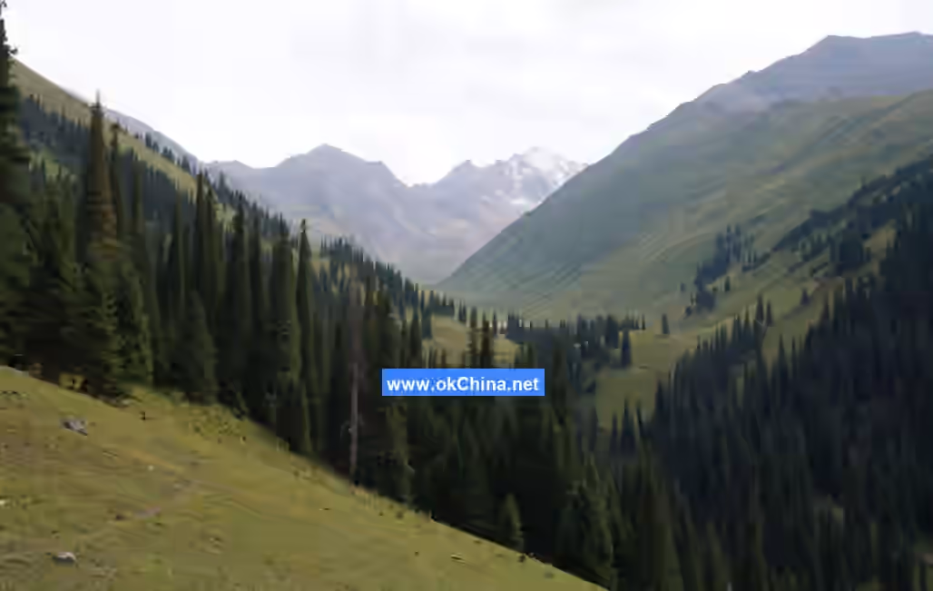 Nalati Tourist Area