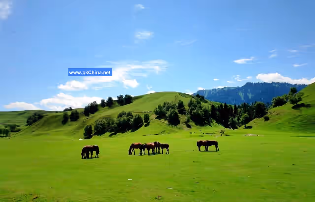 Nalati Tourist Area