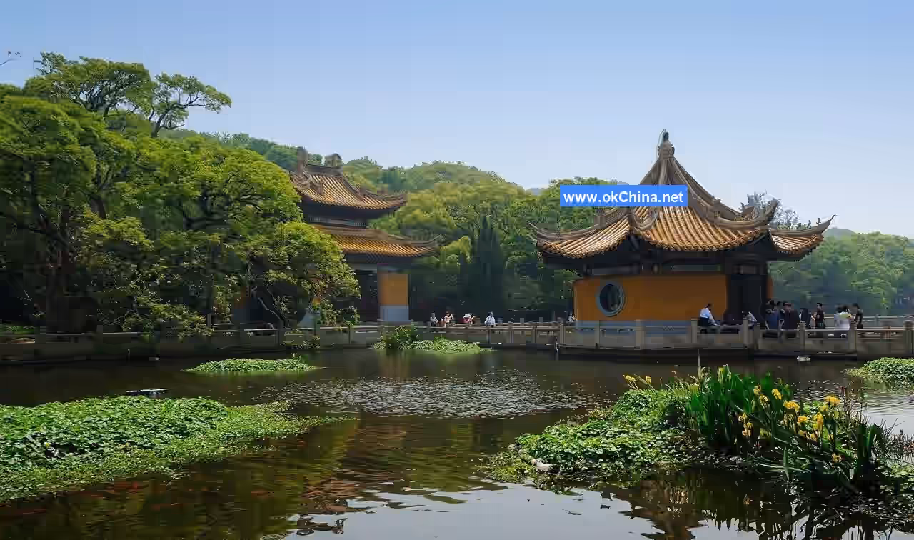 Putuo Mountain Scenic Area